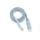 USB to RJ45 Cable