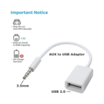 AUX to USB Adapter