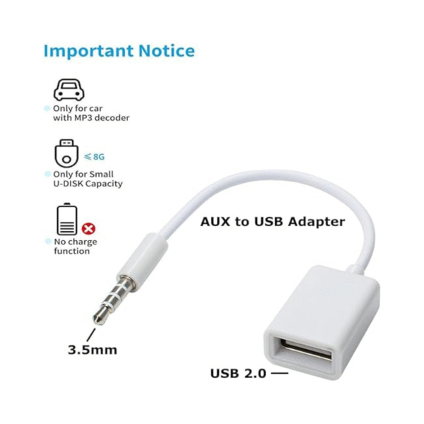 AUX to USB Adapter
